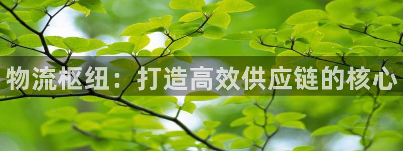 28圈是什么是赌博吗?：物流枢纽：打