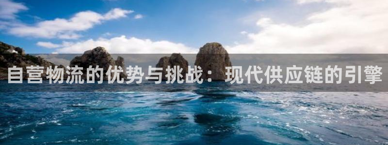 28圈在线预测：自营物流的优势与挑战