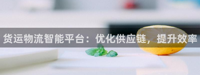 28圈游戏链接：货运物流智能平台：优