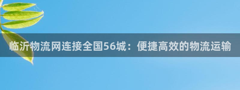 28圈防失联网址：临沂物流网连接全国