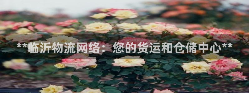 28圈软件有什么用